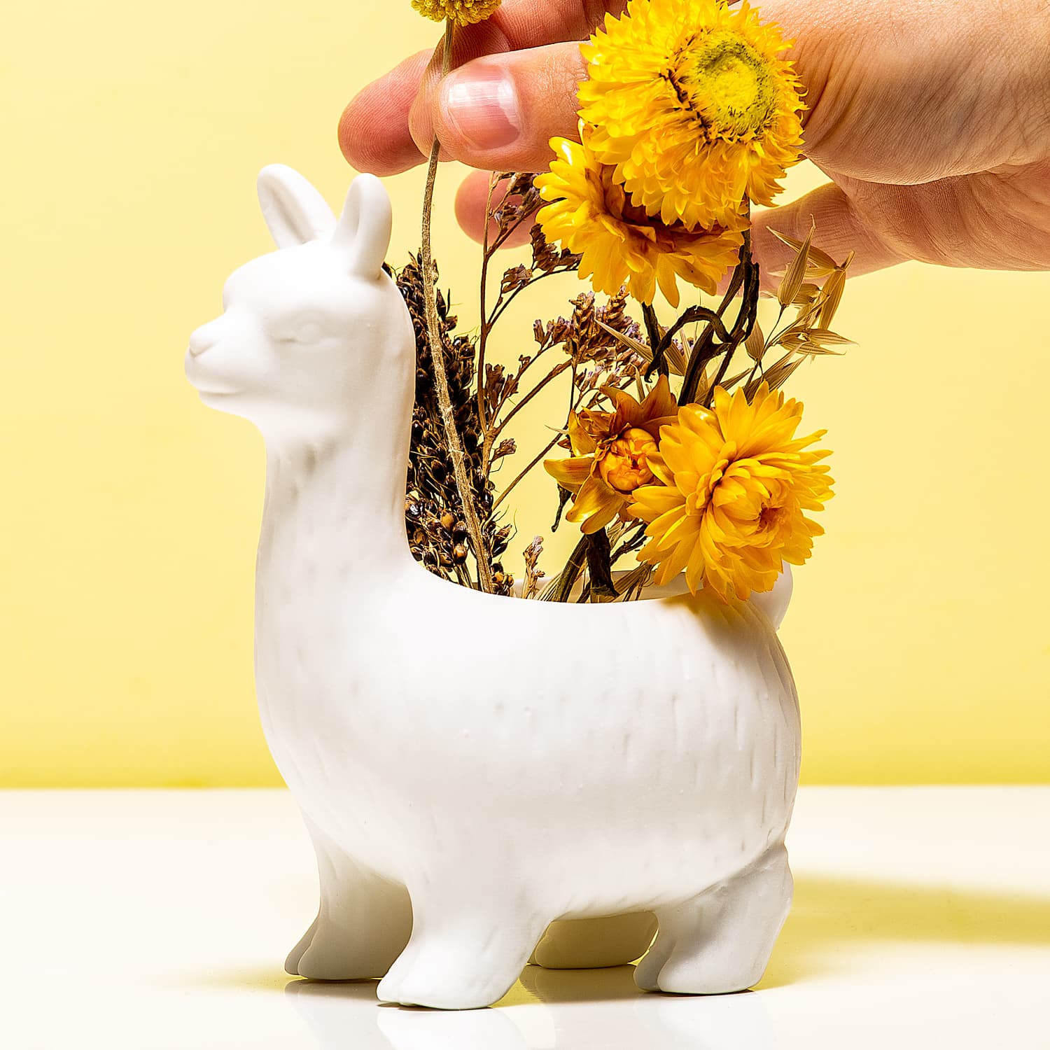 Lama bloempot