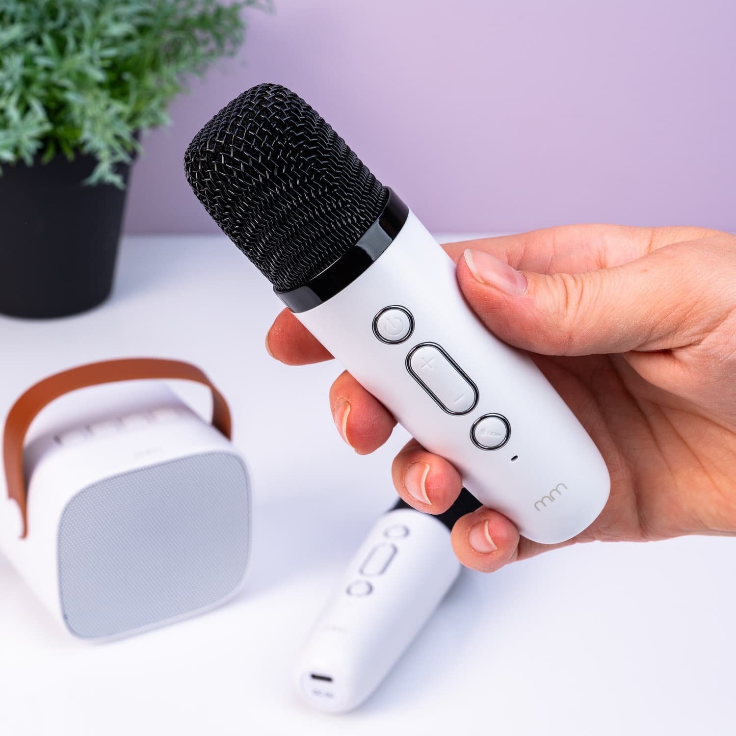 Karaoke 2 Go set