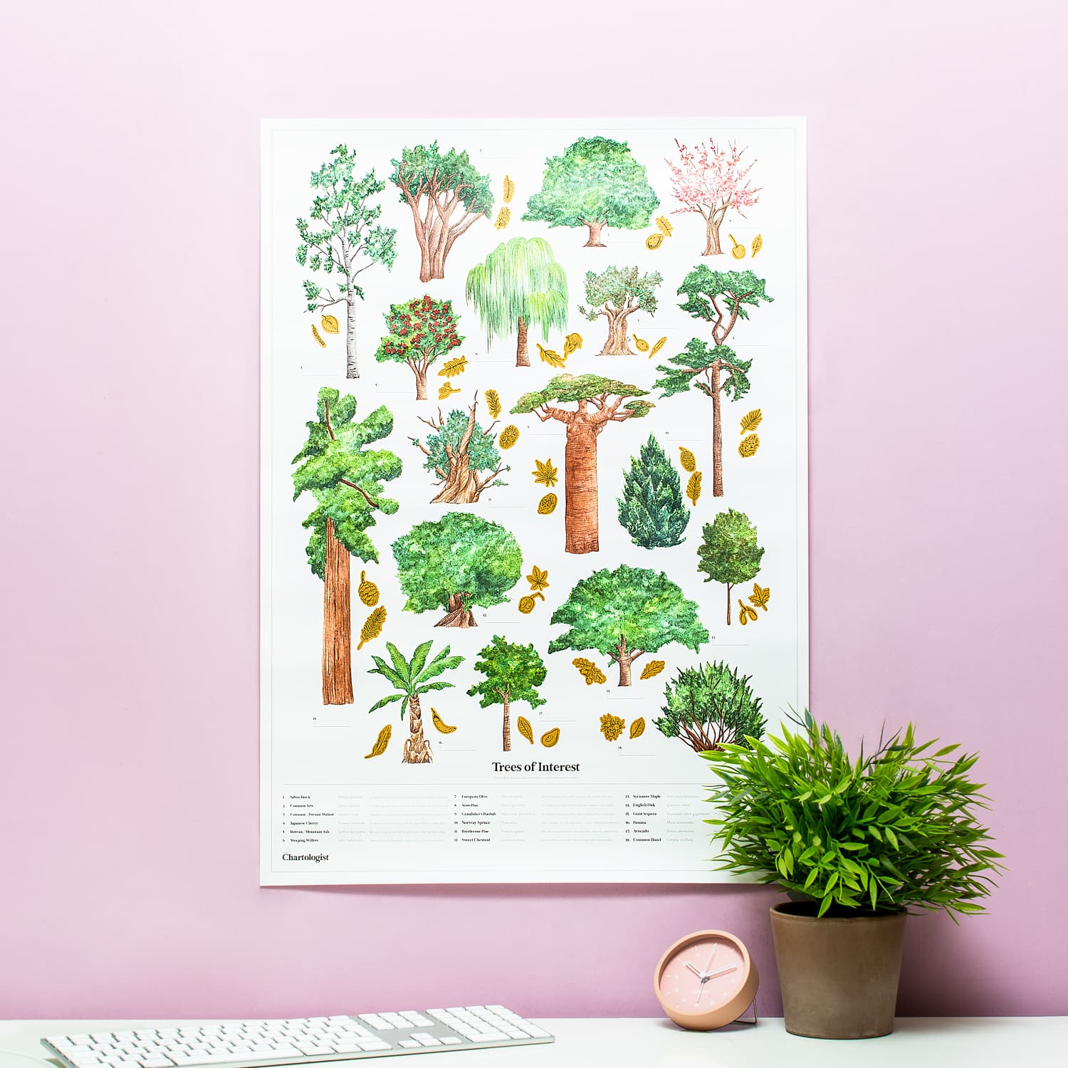 The Chartologist poster