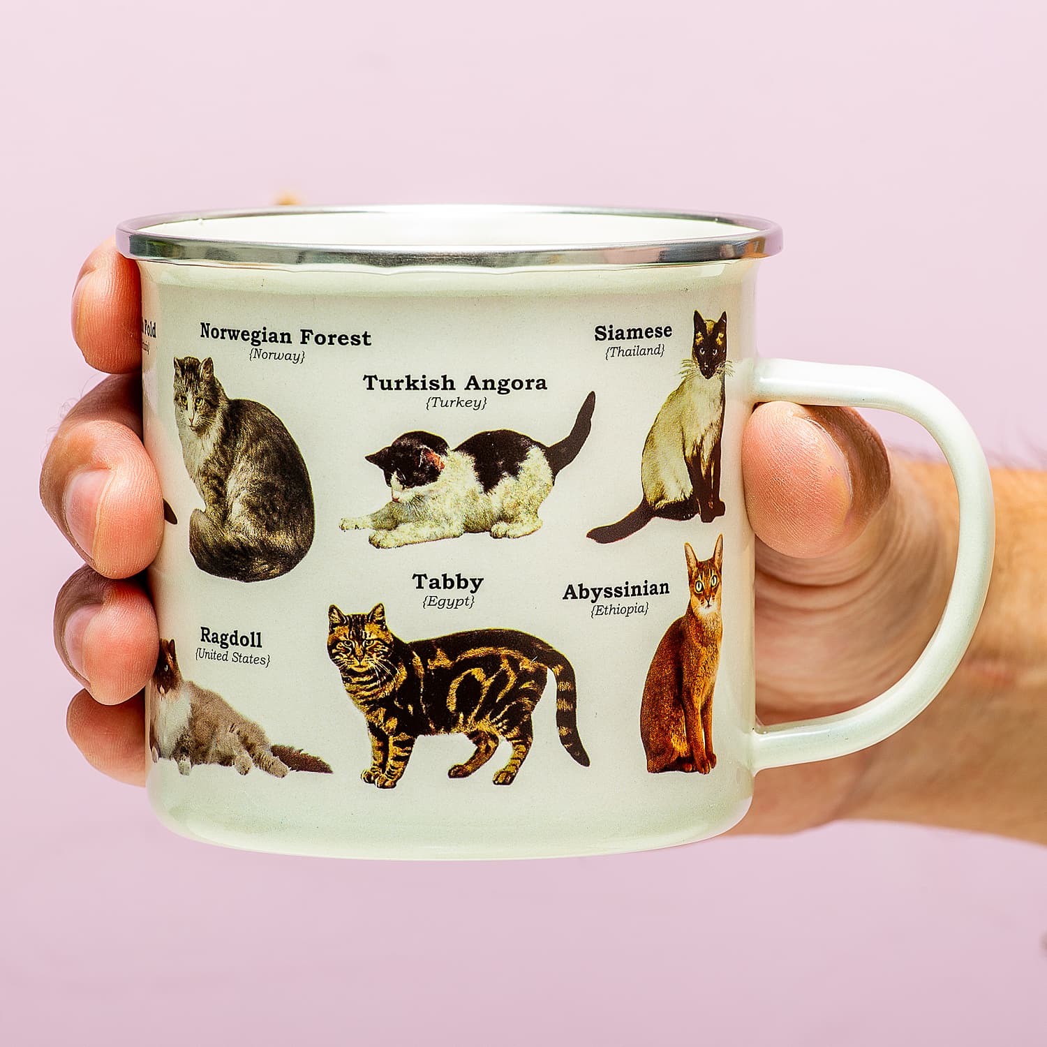 Emaille dierenmok – Katten