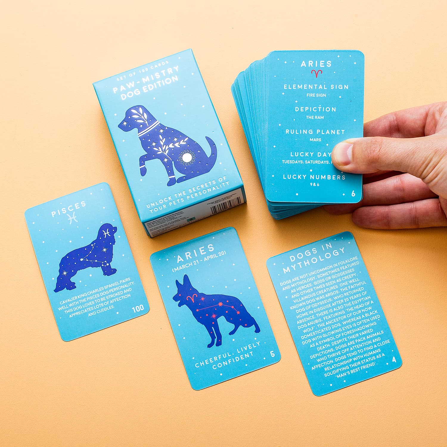 Paw-mistry kaarten – Hond
