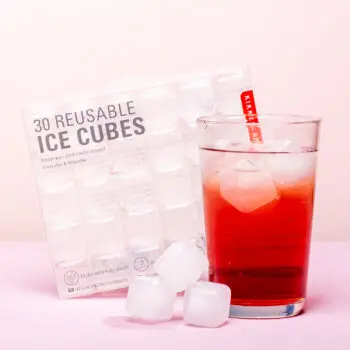 Plastic ijsblokjes (set van 30) - Transparant