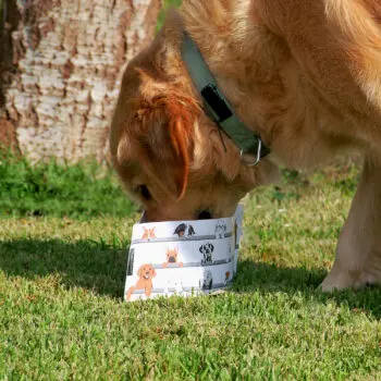 Wuff'n'Go Reis hondenbak (set van 2)