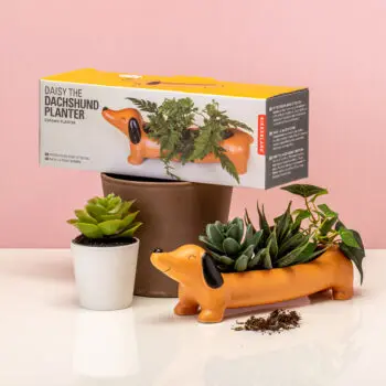 Huisdier bloempot - Teckel