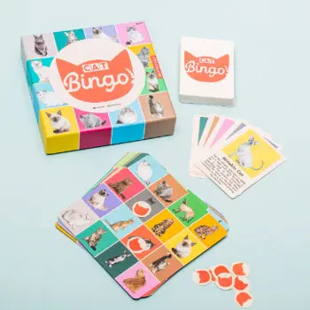 Huisdier bingo - Kat