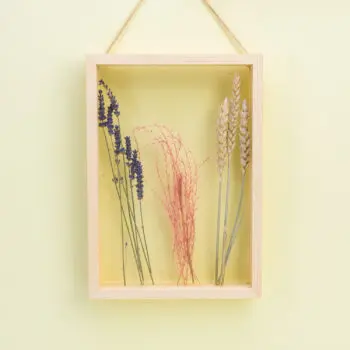 Transparant fotolijstje - Rechthoek