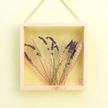 Transparant fotolijstje