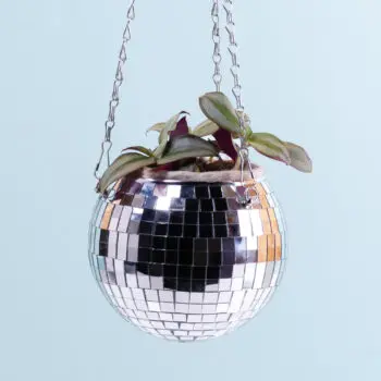 Hangende discobal bloempot