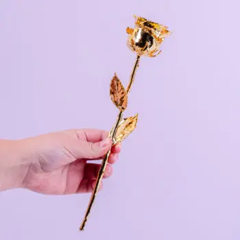 24 karaat gouden roos