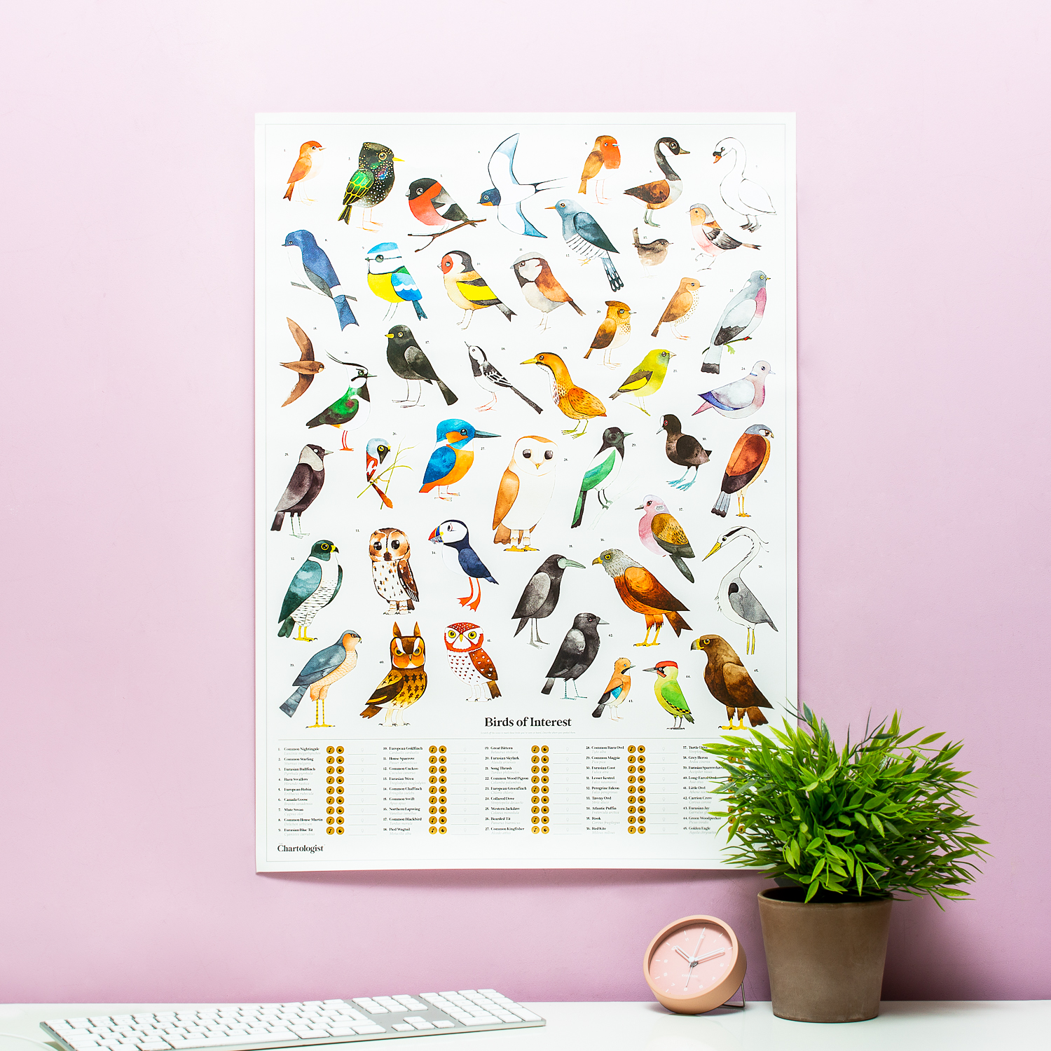 The Chartologist Poster - Vogels