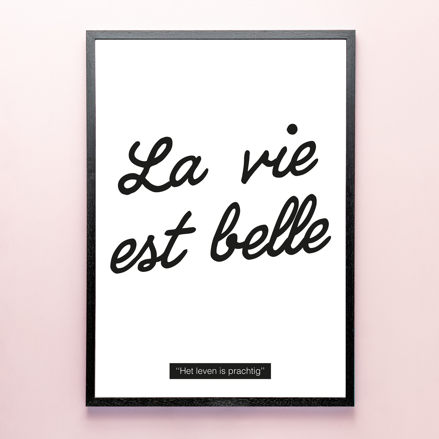 Poster La Vie Est Belle (A2 Formaat)