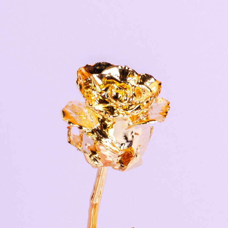 100 rode rozen Valentijnsdag Topper - Boeket bloemen bestellen