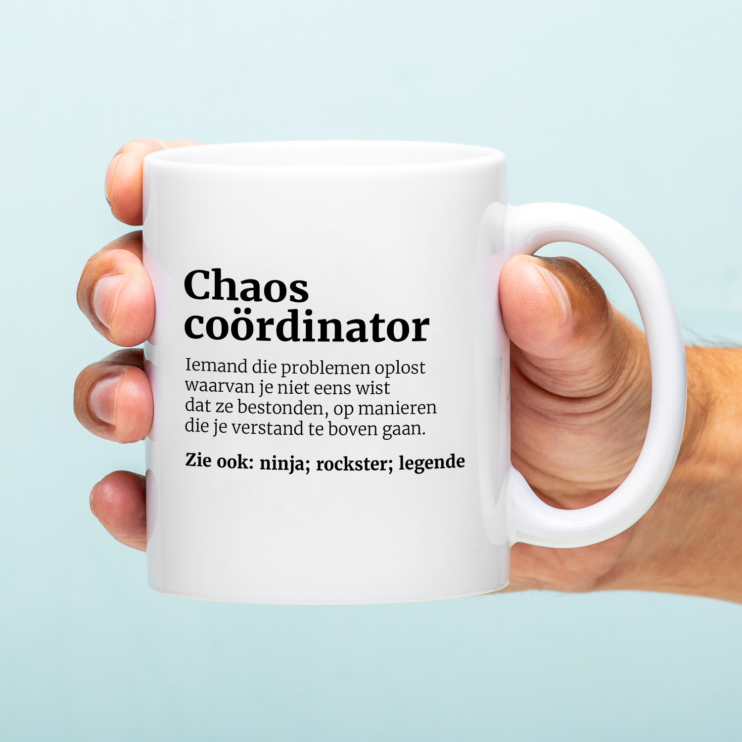 148653 Chaos Coördinator 1