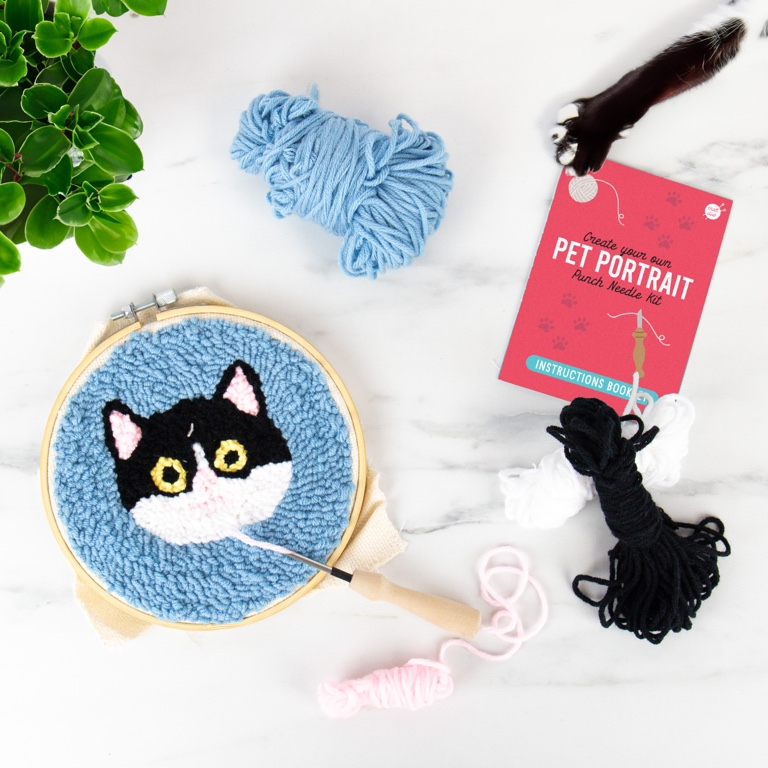 Kat punch needle set