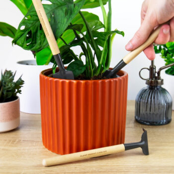 Plantverzorging set (set van 3)
