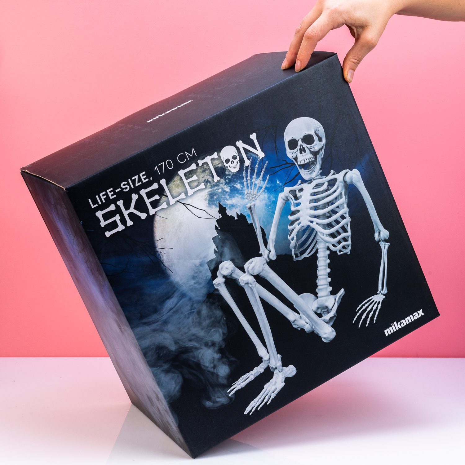 Levensgroot skelet (170 cm)