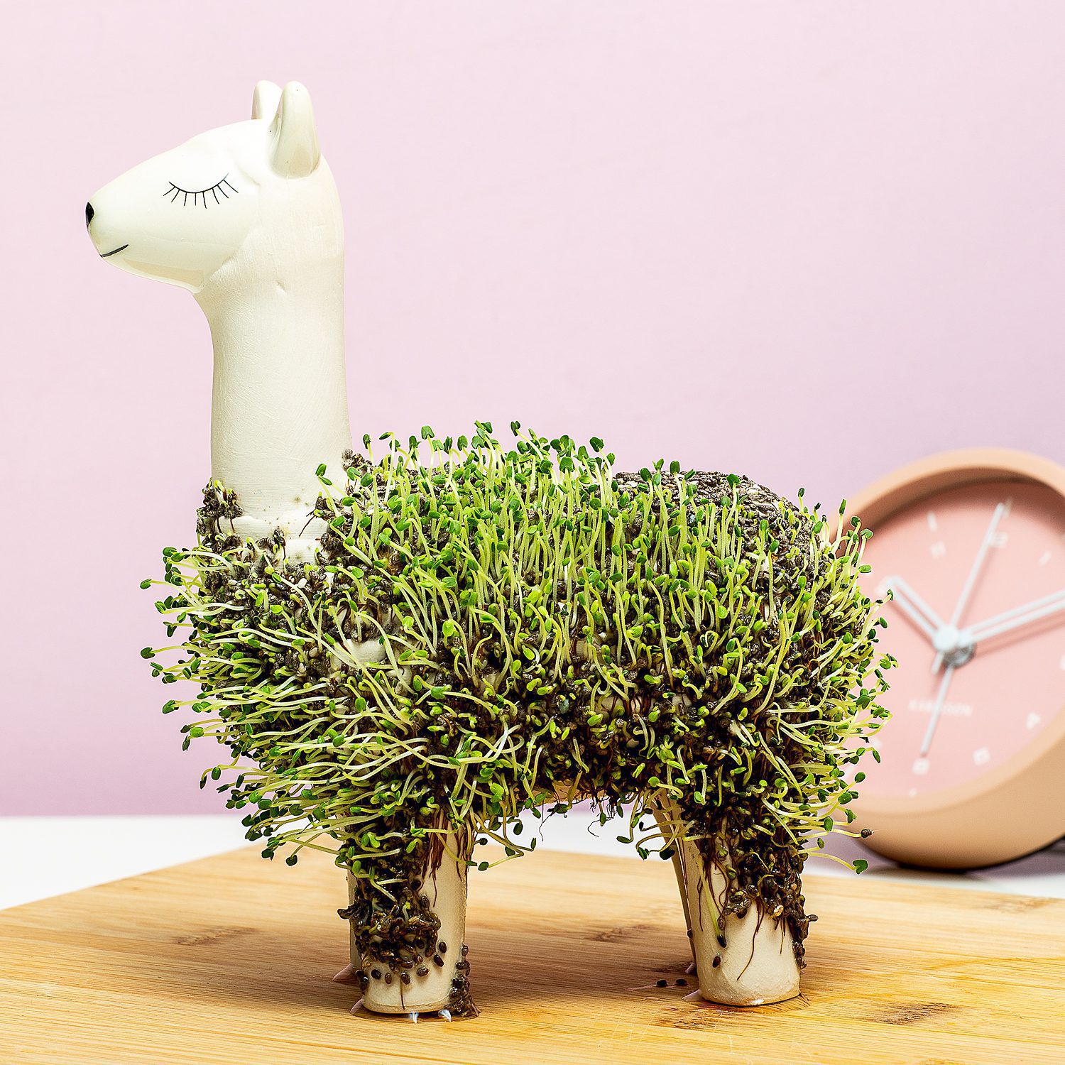 Gift Republic Lama Bloempot Met Zaadjes