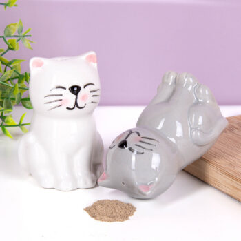 Katten peper- en zoutstel