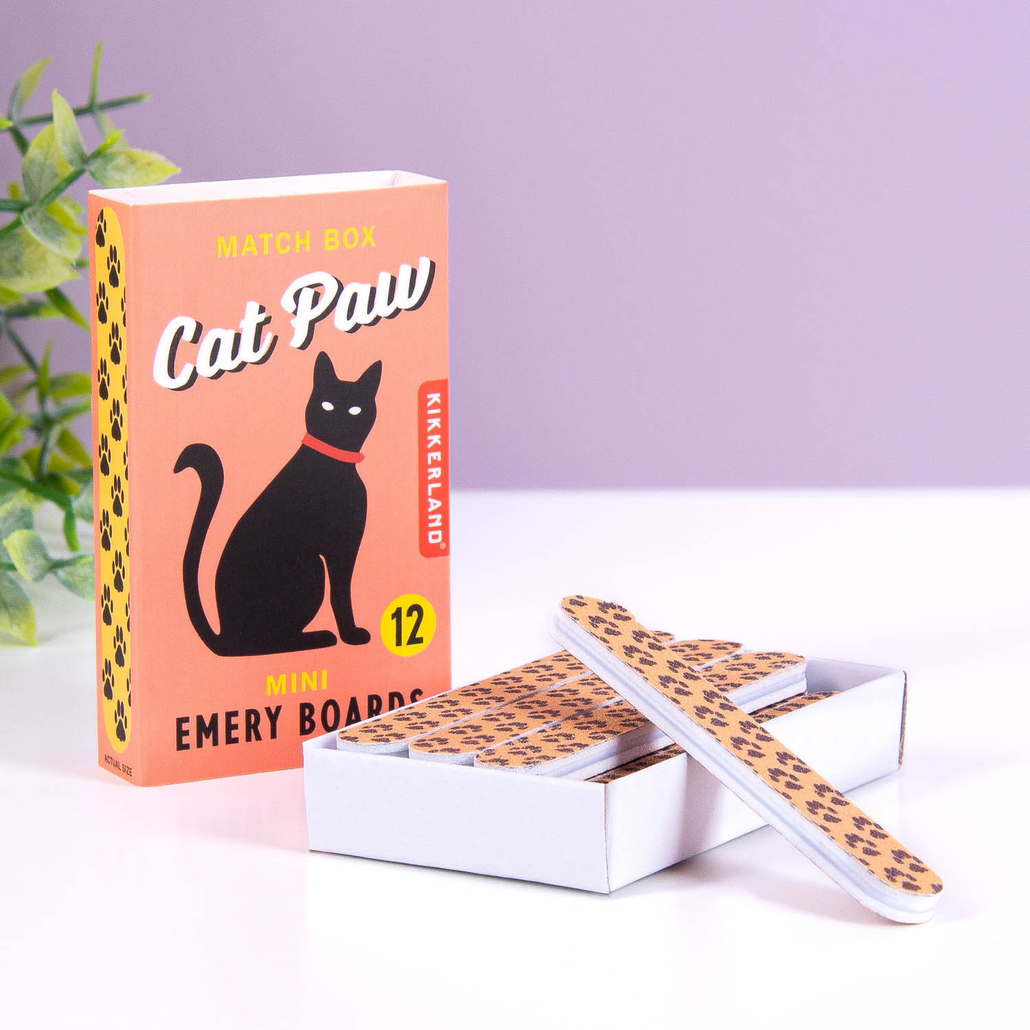 Kat nagelvijlen (set van 12)