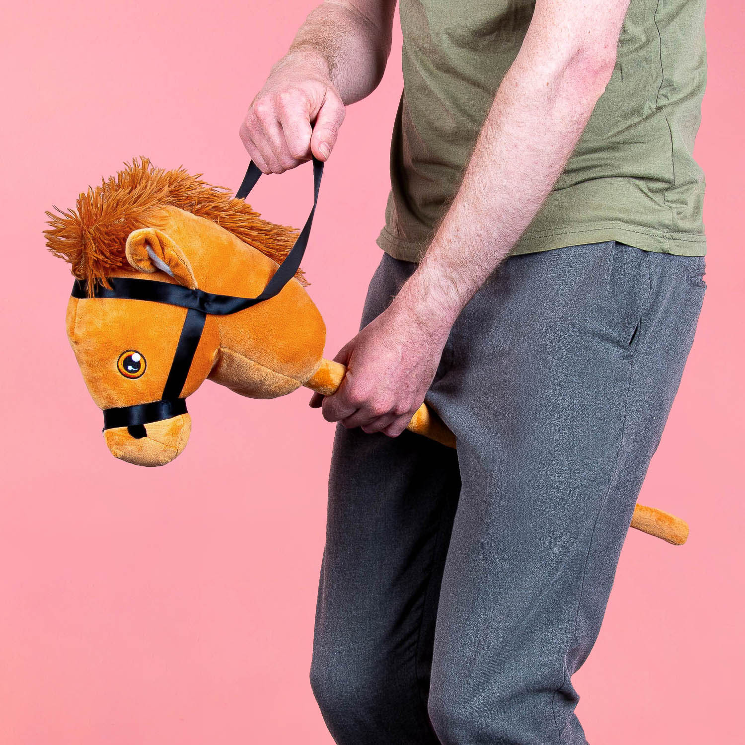 Stokpaardje - Paard afbeelding 1