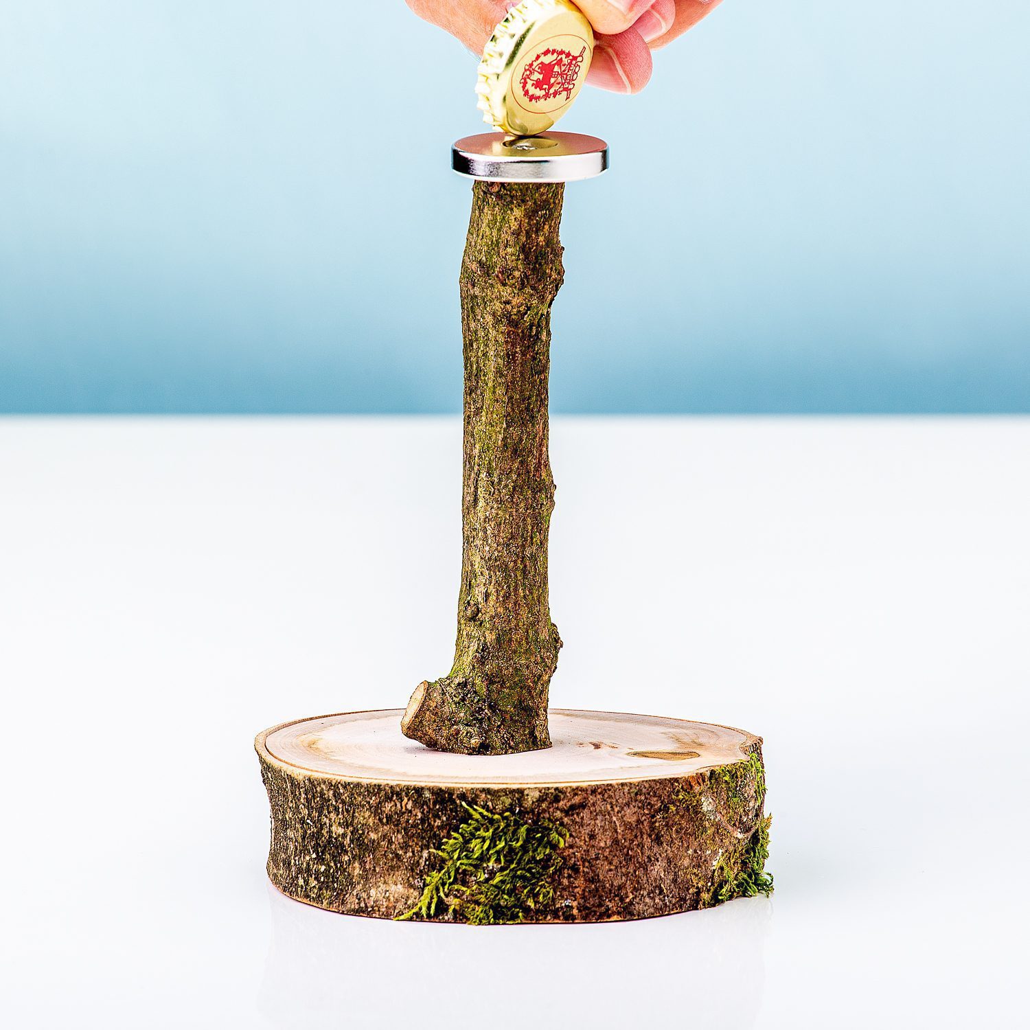 Magnetische bierboom