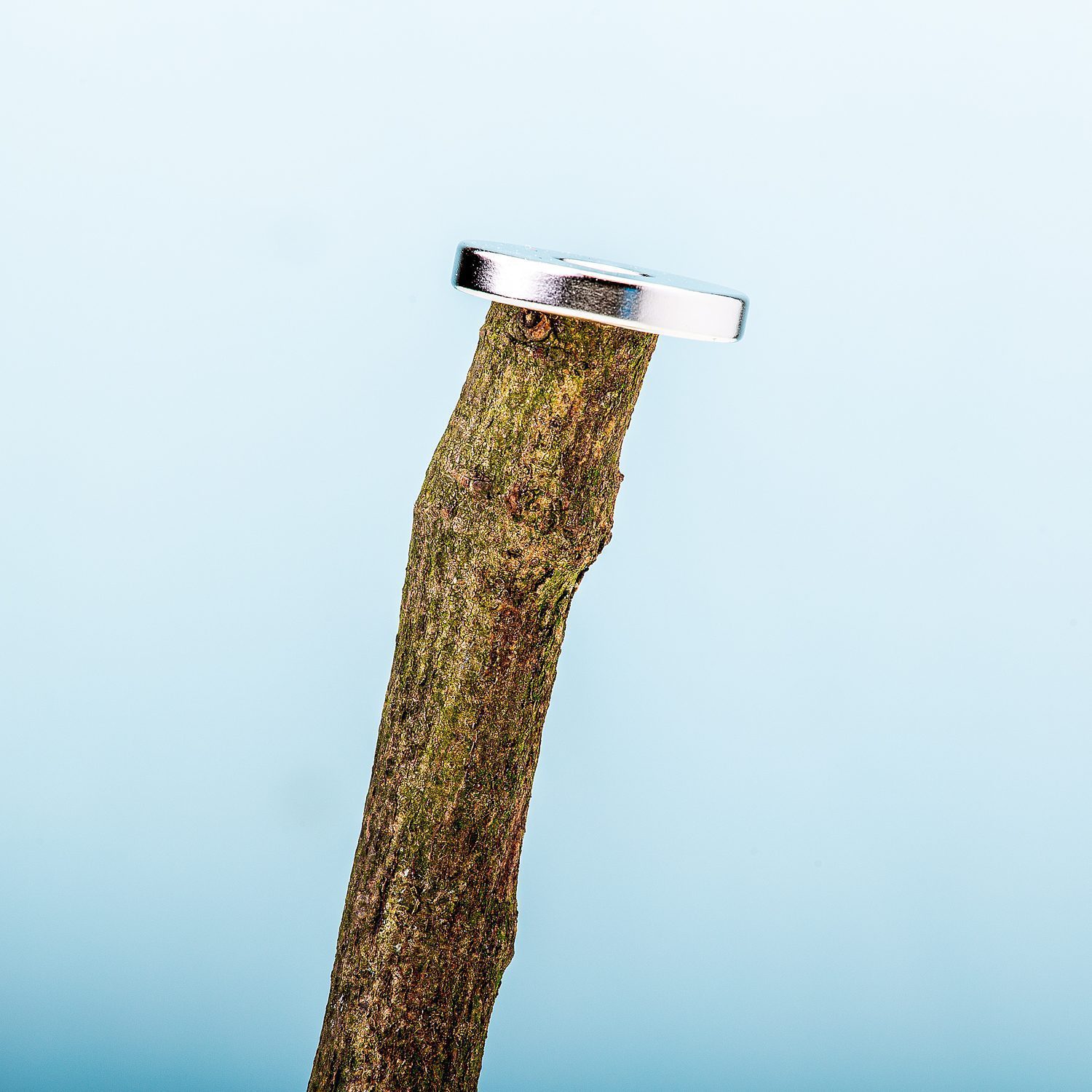 Magnetische bierboom