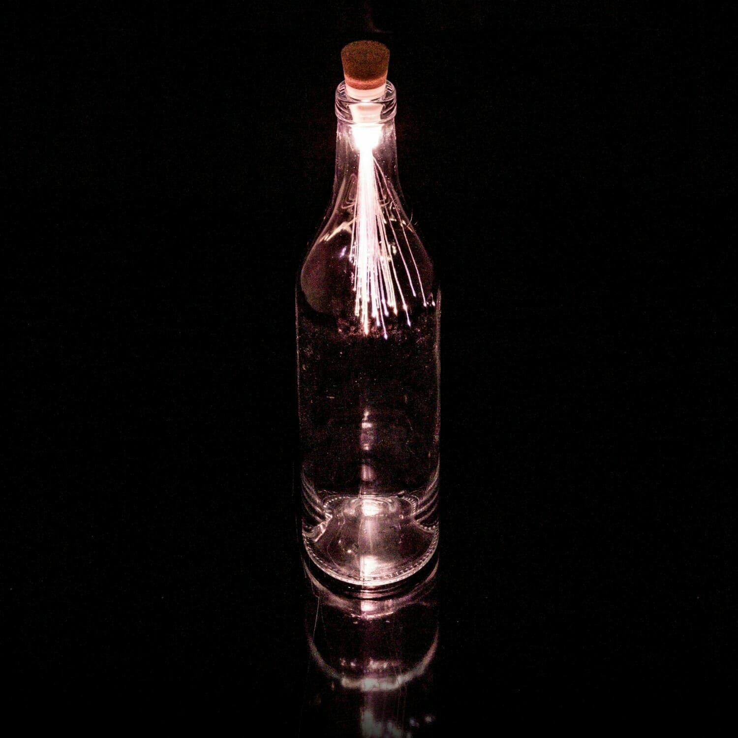 Fibre Optic Bottle Light huismerk kopen in de aanbieding