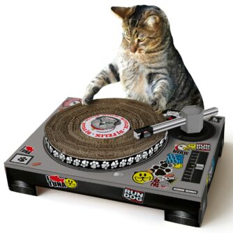 cat-scratch-playhouse-cardboard-dj-deck-turntable-voorkant.jpg