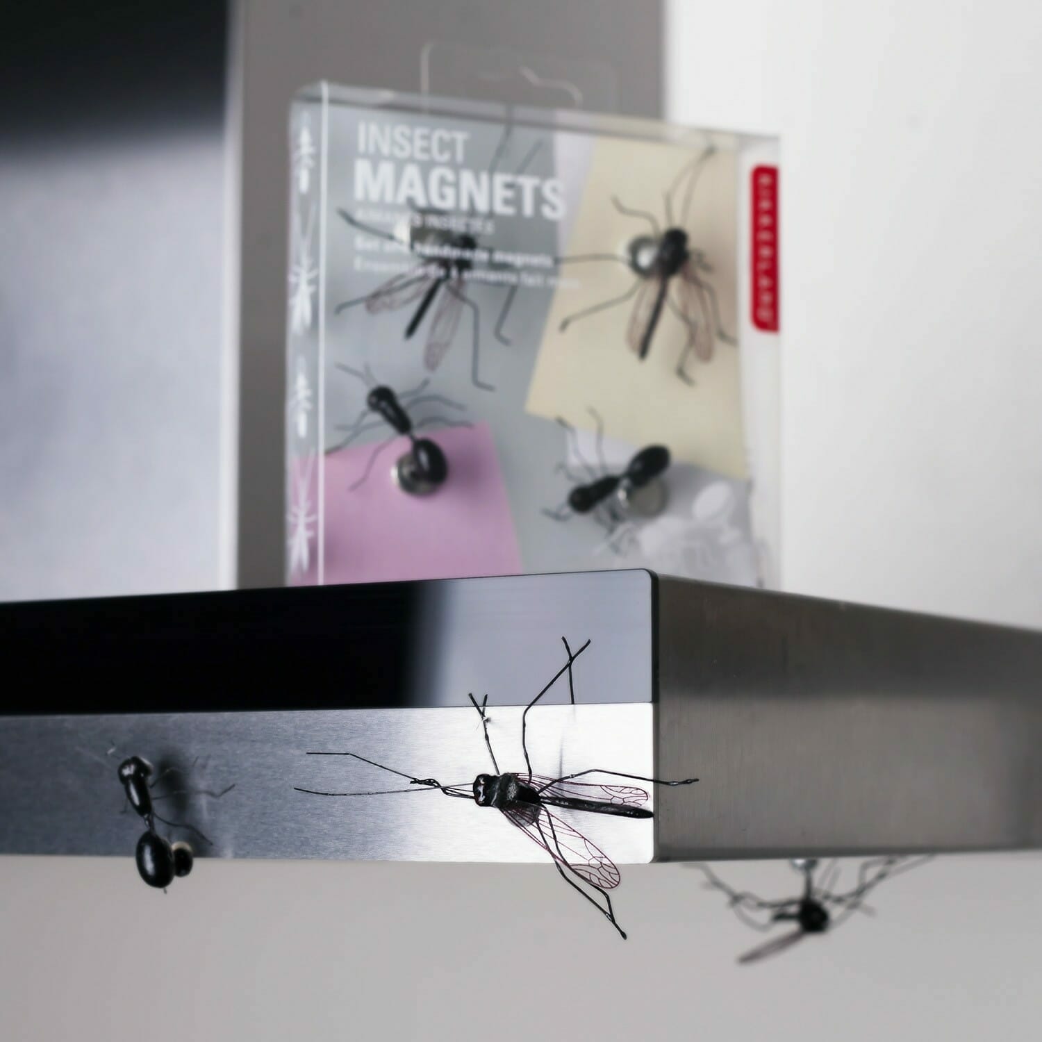 Insect Magneten (set Van 4)